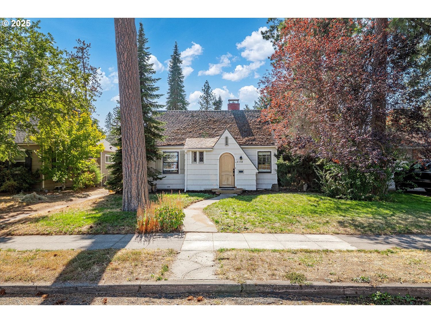 a view of a yard in front of a house with a yard