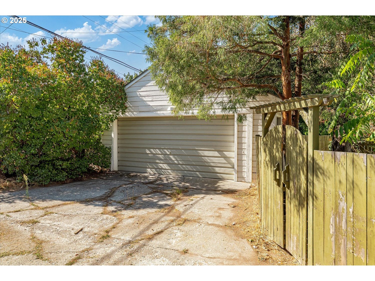 1118 East 28th Avenue Spokane, WA 99203 - Photo 16 of 48 a view of a backyard with plants and large trees