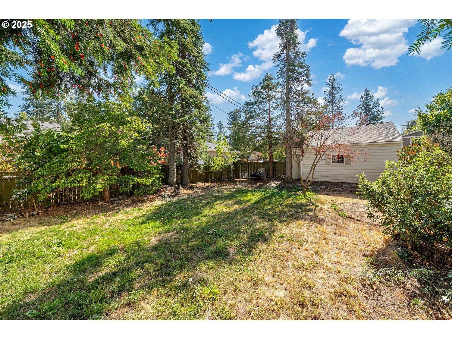 1118 East 28th Avenue Spokane, WA 99203 - Photo 20 of 48 a view of a yard
