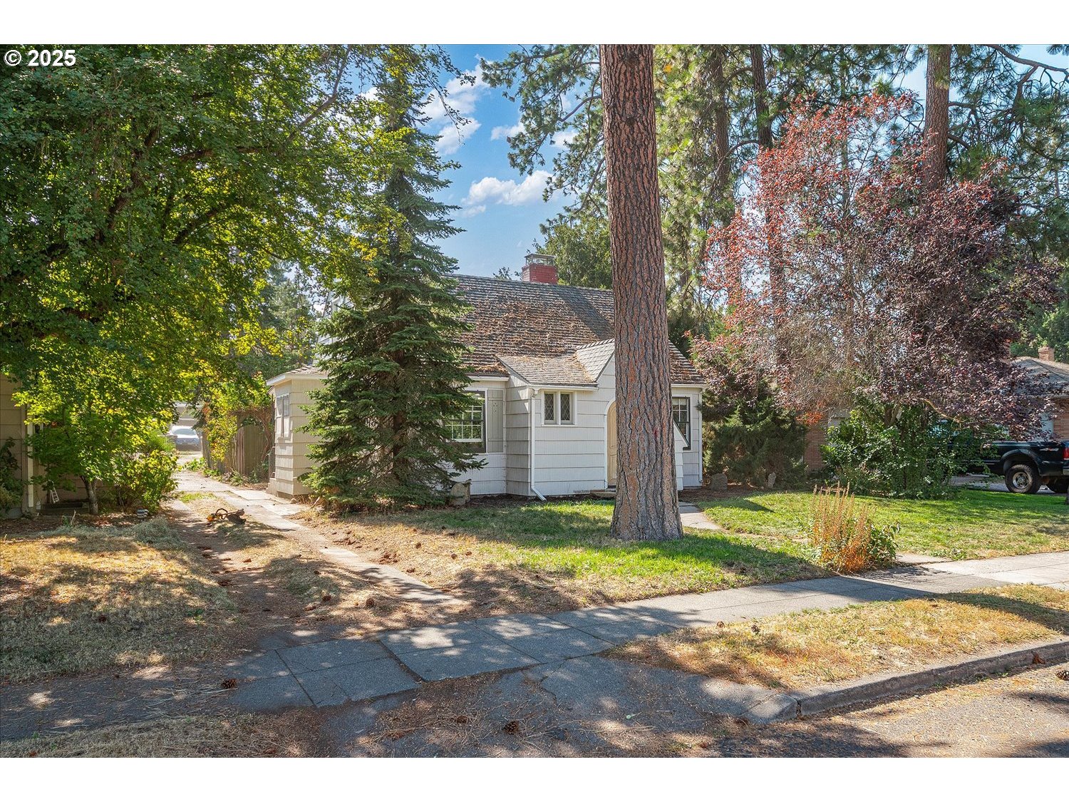 1118 East 28th Avenue Spokane, WA 99203 - Photo 4 of 48 a view of a yard with an outdoor space