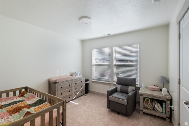 1641 North 840 West Salem, UT 84653 - Photo 13 of 38