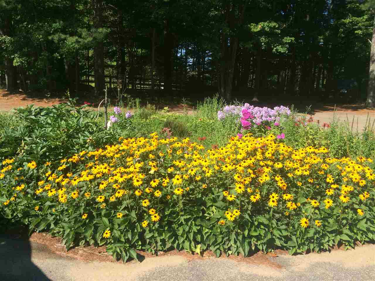 4 Whittier Road Deerfield, NH 03037 - Photo 39 of 40