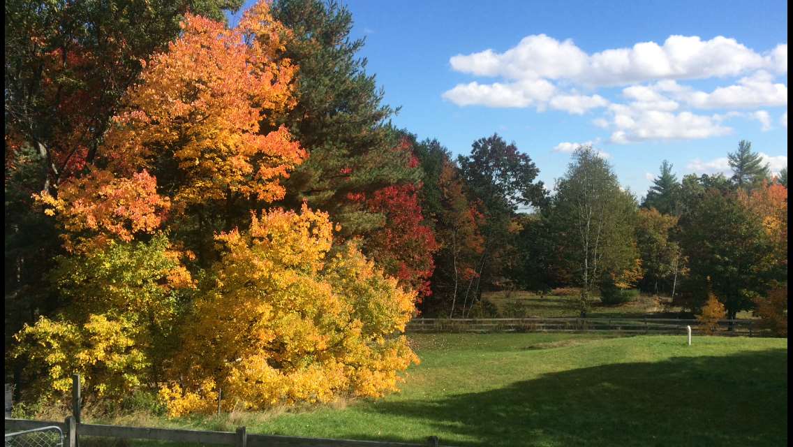 4 Whittier Road Deerfield, NH 03037 - Photo 9 of 40