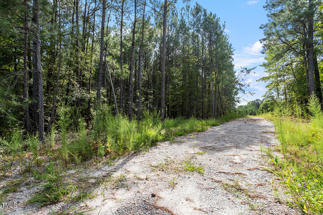 7524 Mitchell Mill Road Zebulon, NC 27597 - Photo 5 of 23 7524 Mitchell Mill Road_03