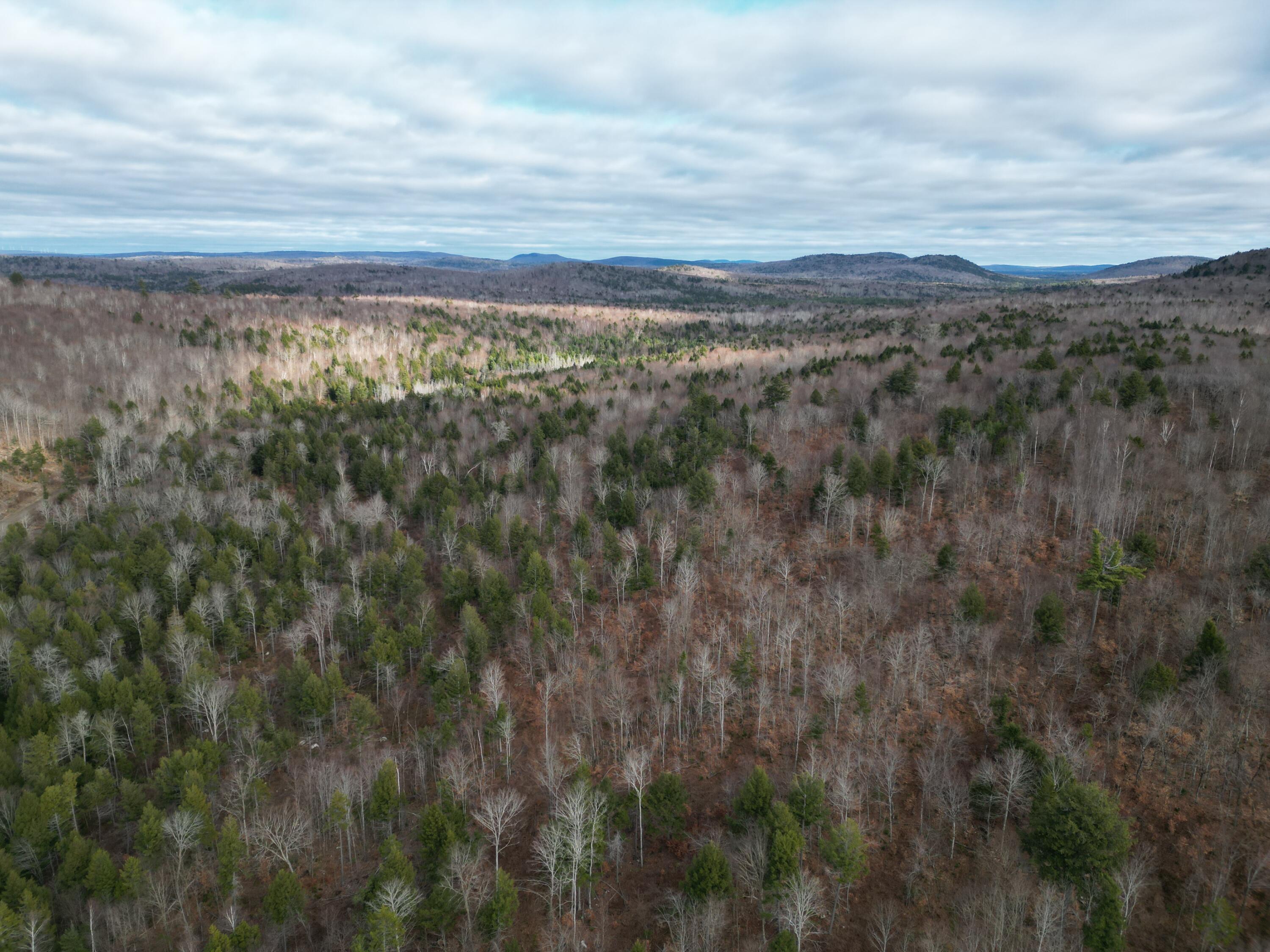 Lot 14 Ghost Road Springfield, ME 04487 - Photo 14 of 17 DJI_0968