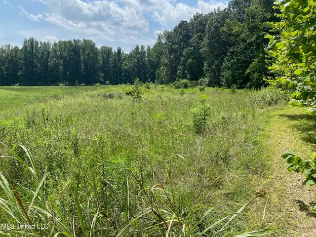 $149,000 | 0 Summer Oaks Drive, Lamar, MS 38642