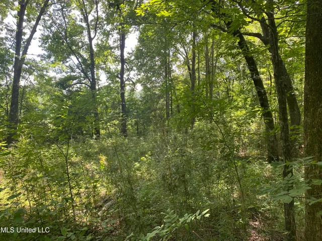 $149,000 | 0 Summer Oaks Drive, Lamar, MS 38642