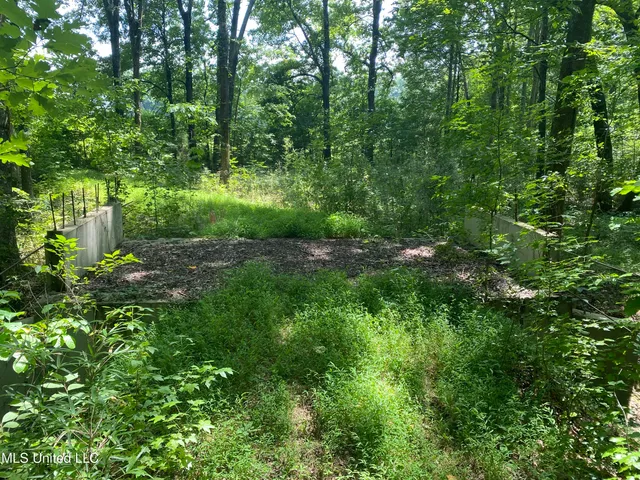 $149,000 | 0 Summer Oaks Drive, Lamar, MS 38642