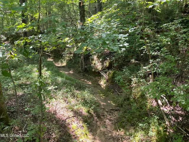 $149,000 | 0 Summer Oaks Drive, Lamar, MS 38642