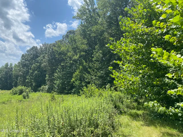 $149,000 | 0 Summer Oaks Drive, Lamar, MS 38642