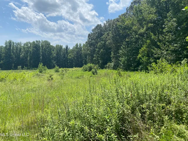 $149,000 | 0 Summer Oaks Drive, Lamar, MS 38642