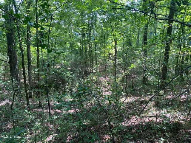 $149,000 | 0 Summer Oaks Drive, Lamar, MS 38642