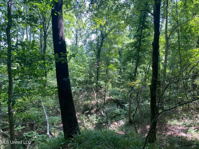 $149,000 | 0 Summer Oaks Drive, Lamar, MS 38642