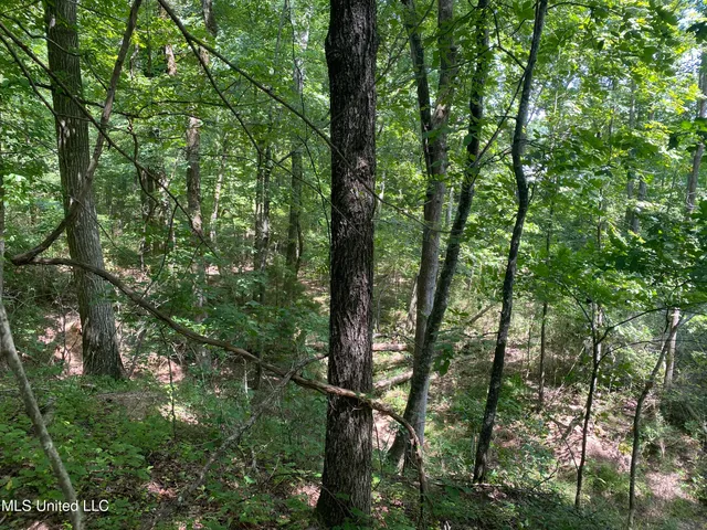 $149,000 | 0 Summer Oaks Drive, Lamar, MS 38642