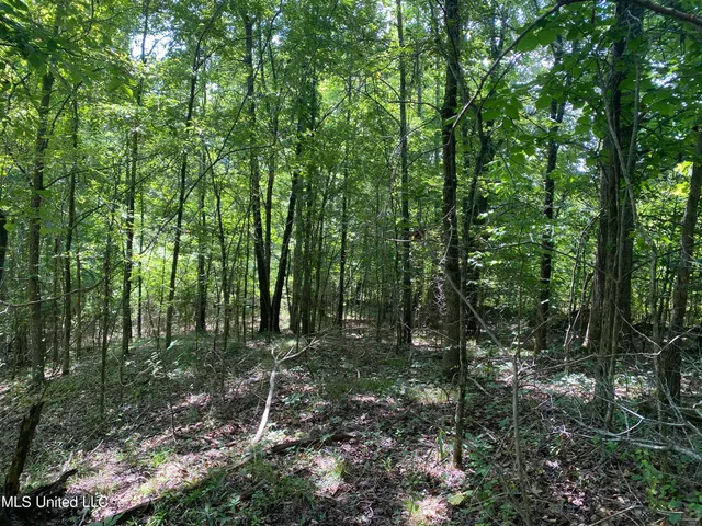 $149,000 | 0 Summer Oaks Drive, Lamar, MS 38642