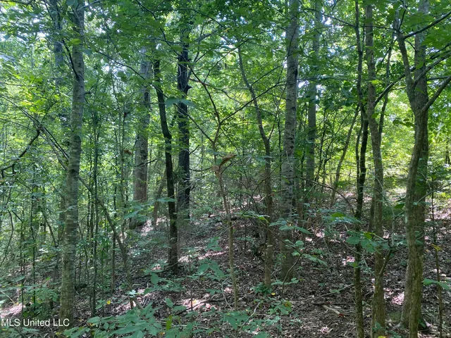 $149,000 | 0 Summer Oaks Drive, Lamar, MS 38642