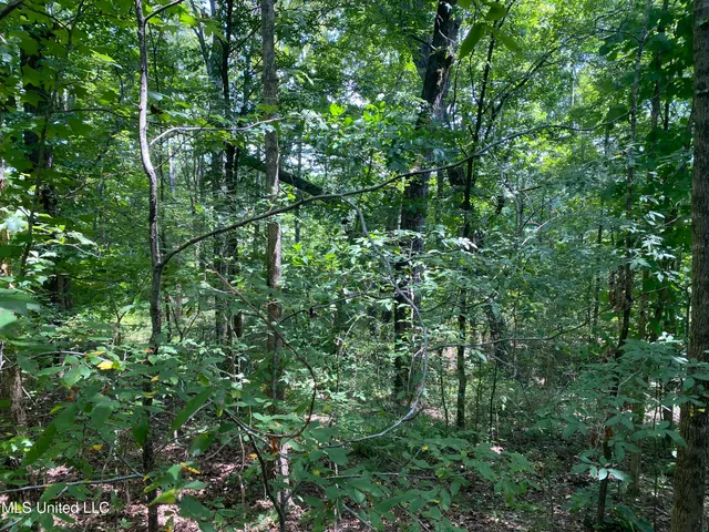 $149,000 | 0 Summer Oaks Drive, Lamar, MS 38642