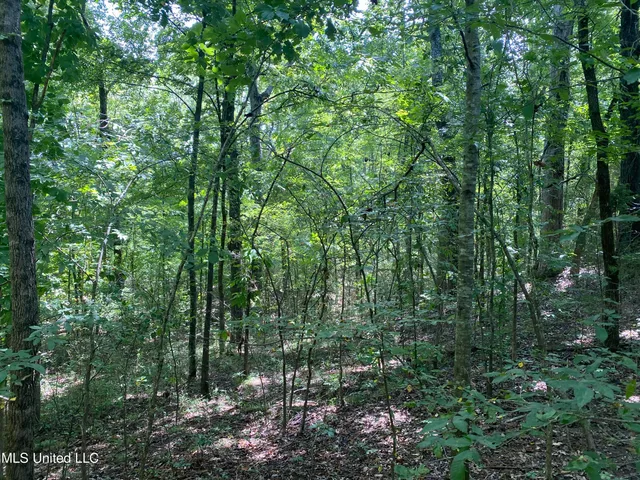 $149,000 | 0 Summer Oaks Drive, Lamar, MS 38642