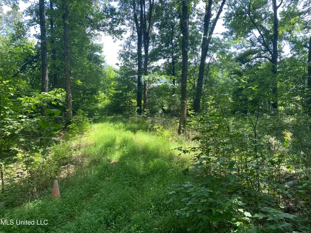 $149,000 | 0 Summer Oaks Drive, Lamar, MS 38642