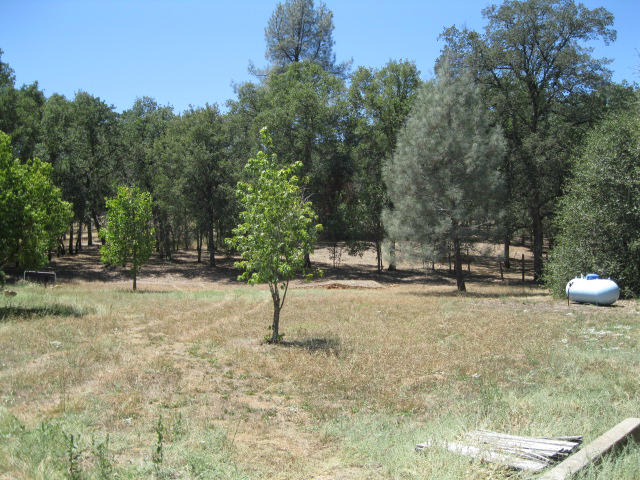 10786 Deschutes Road Palo Cedro, CA 96073 - Photo 17 of 24 a house with trees in the background