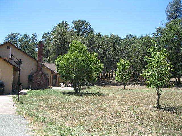 10786 Deschutes Road Palo Cedro, CA 96073 - Photo 18 of 24 a view of a tree in front of a house
