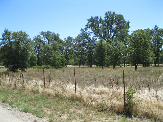 10786 Deschutes Road Palo Cedro, CA 96073 - Photo 19 of 24 a view of lake with green space