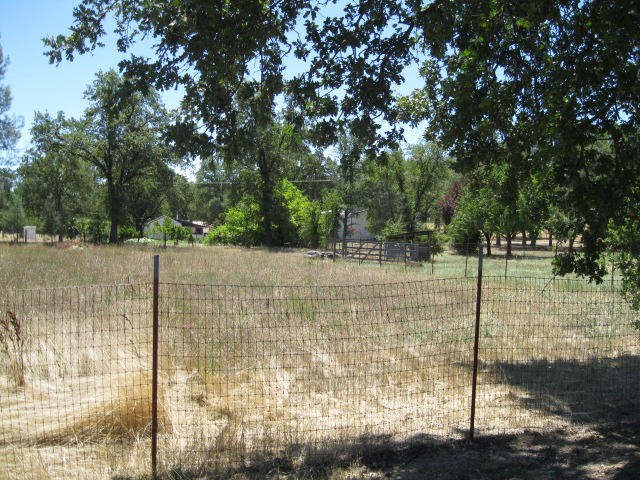10786 Deschutes Road Palo Cedro, CA 96073 - Photo 20 of 24 a backyard of a house