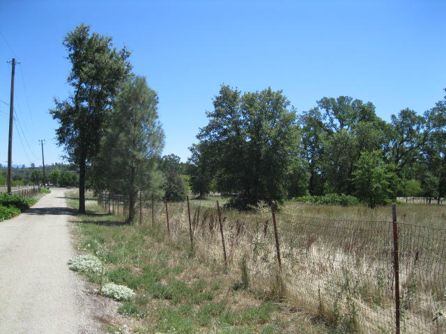 10786 Deschutes Road Palo Cedro, CA 96073 - Photo 21 of 24 a view of a lake with trees in the background