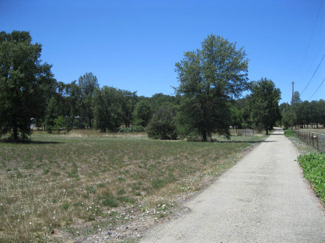 10786 Deschutes Road Palo Cedro, CA 96073 - Photo 22 of 24 a view of a park