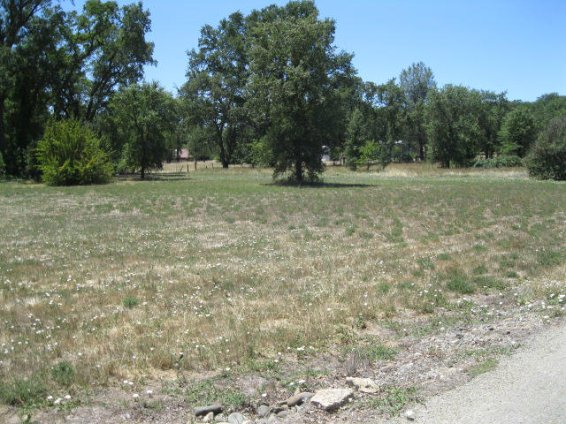 10786 Deschutes Road Palo Cedro, CA 96073 - Photo 23 of 24 a view of outdoor space with trees all around