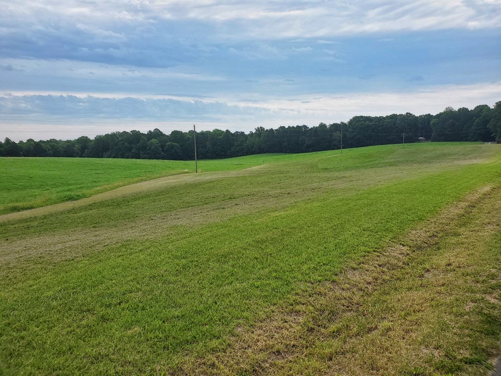 0 Francisco Road Farmville, VA 23901 - Photo 4 of 6 Gallery Image 4