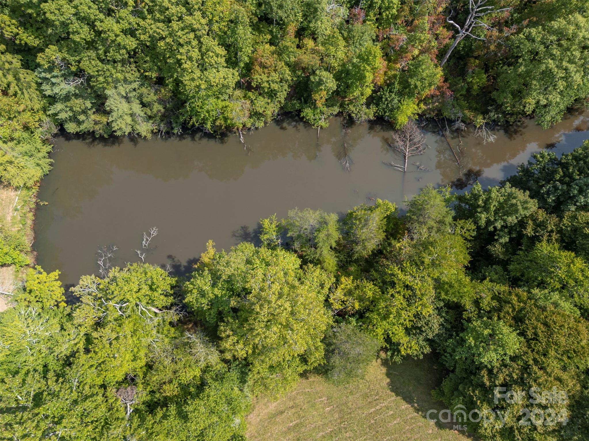 0 Coxe Road Tryon, NC 28782 - Photo 12 of 22