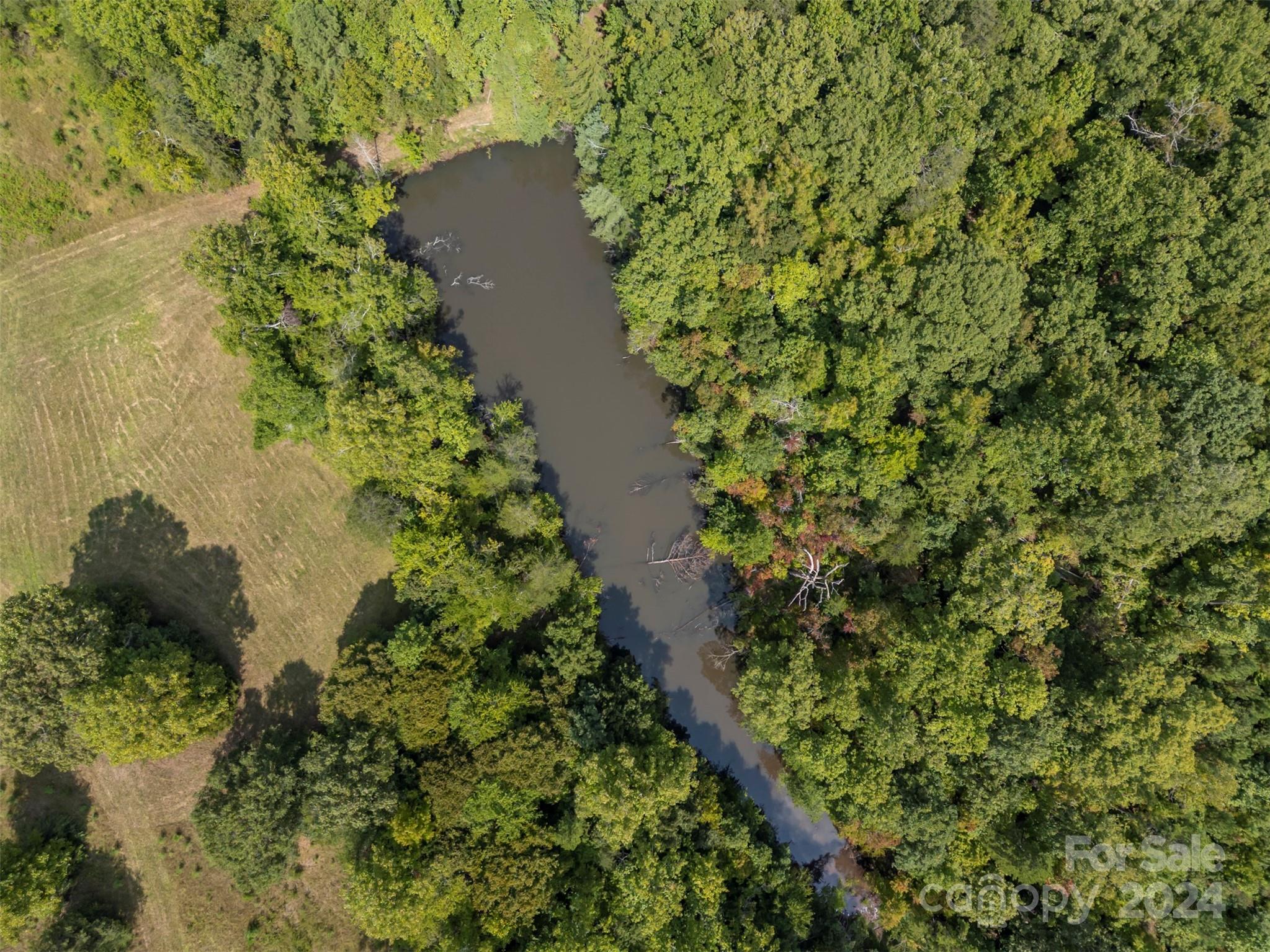 0 Coxe Road Tryon, NC 28782 - Photo 13 of 22