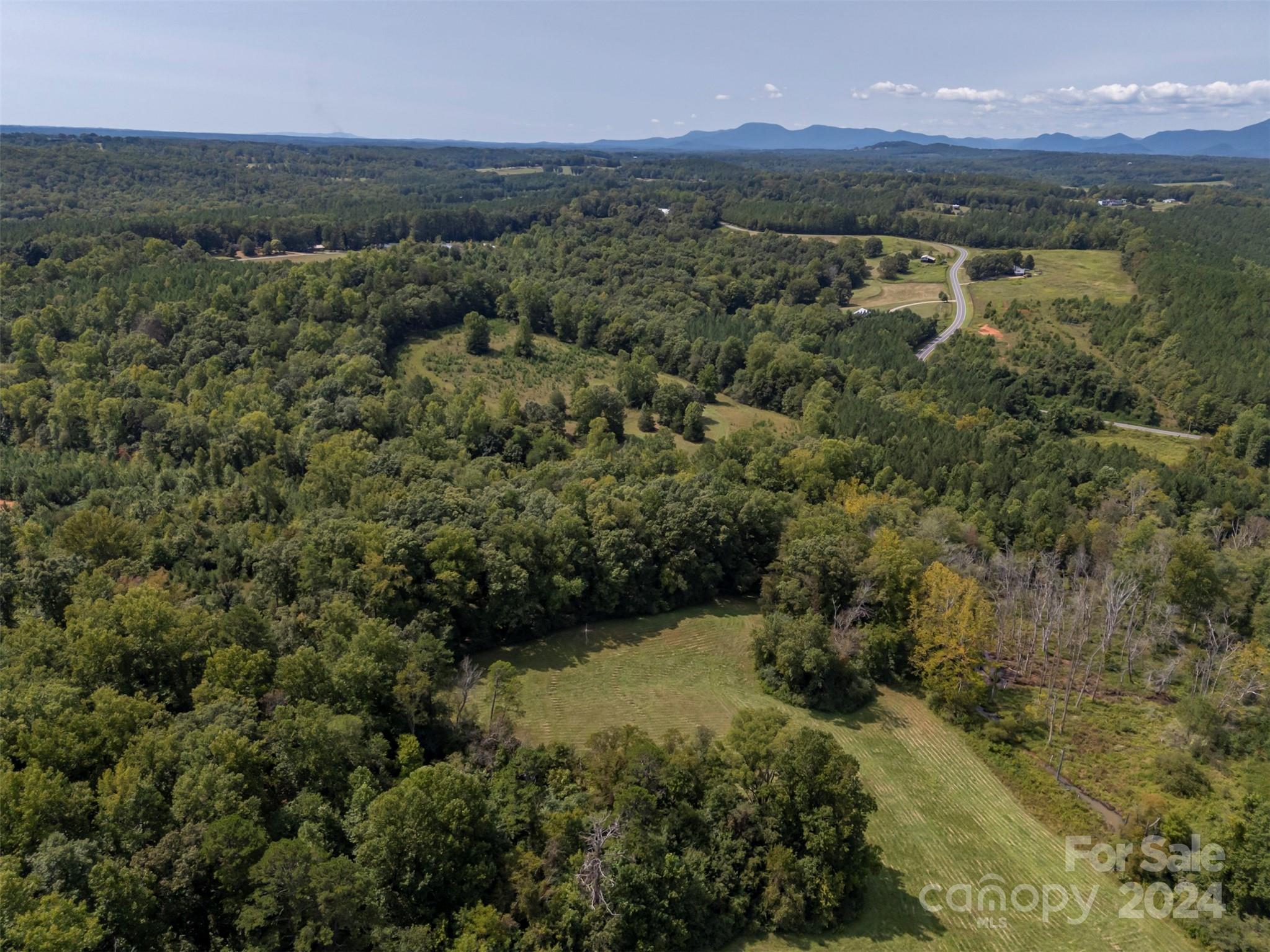 0 Coxe Road Tryon, NC 28782 - Photo 14 of 22