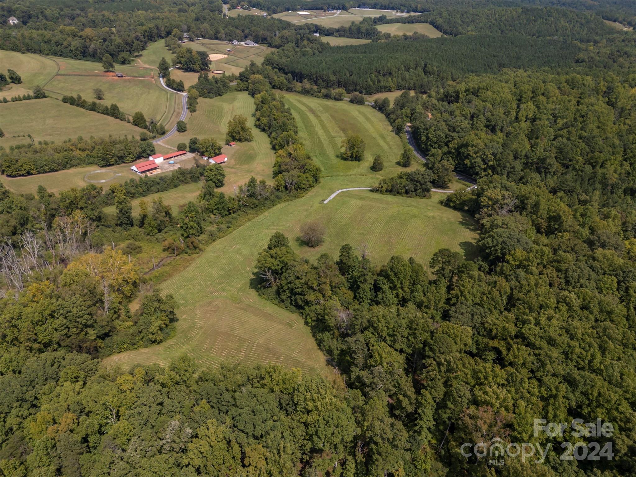 0 Coxe Road Tryon, NC 28782 - Photo 15 of 22