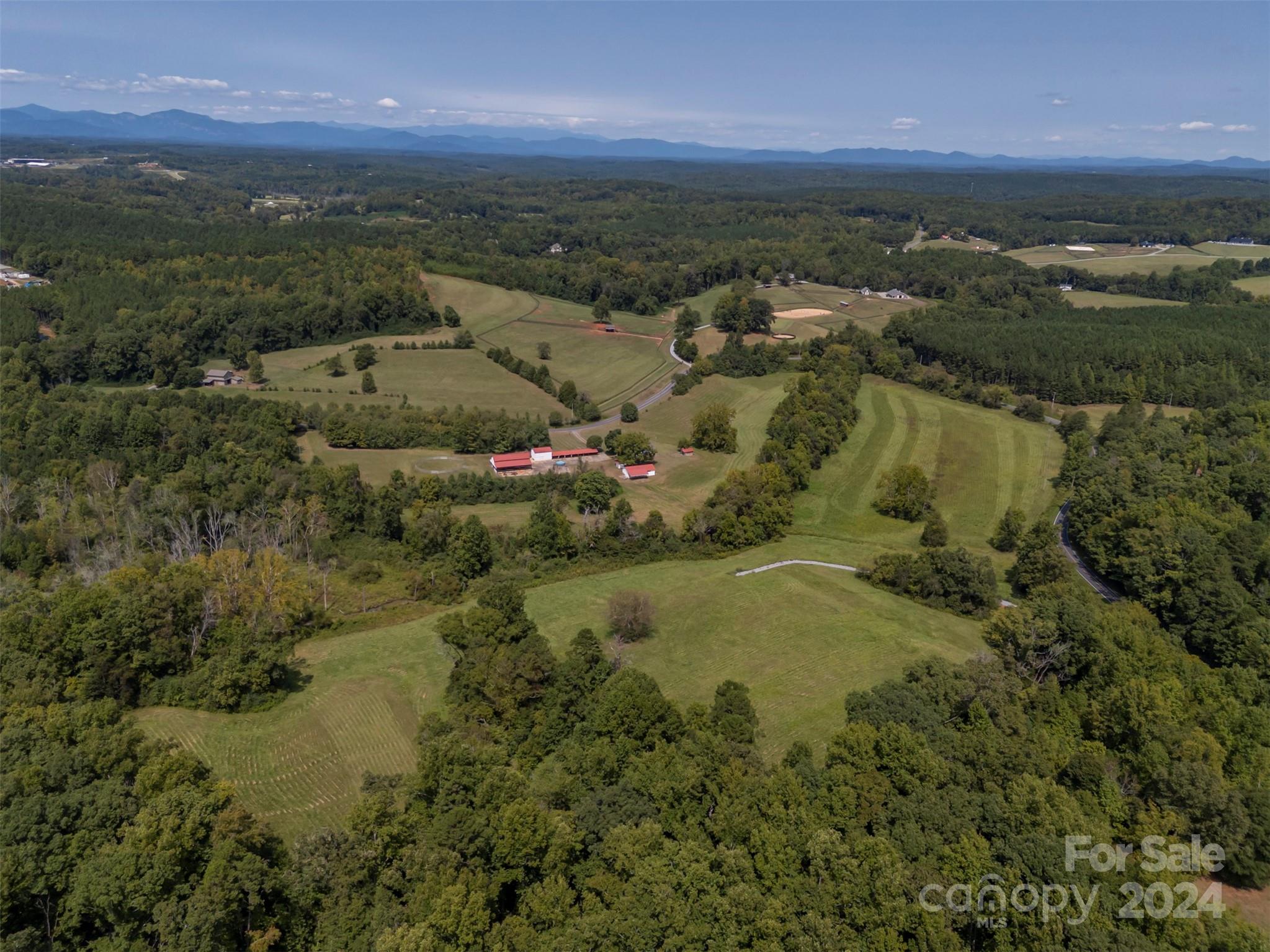 0 Coxe Road Tryon, NC 28782 - Photo 16 of 22