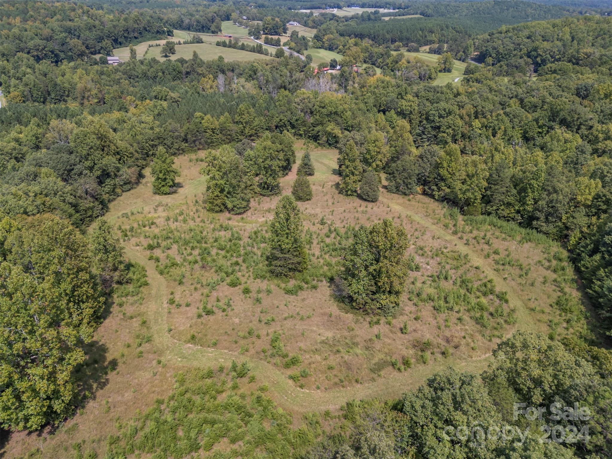 0 Coxe Road Tryon, NC 28782 - Photo 20 of 22