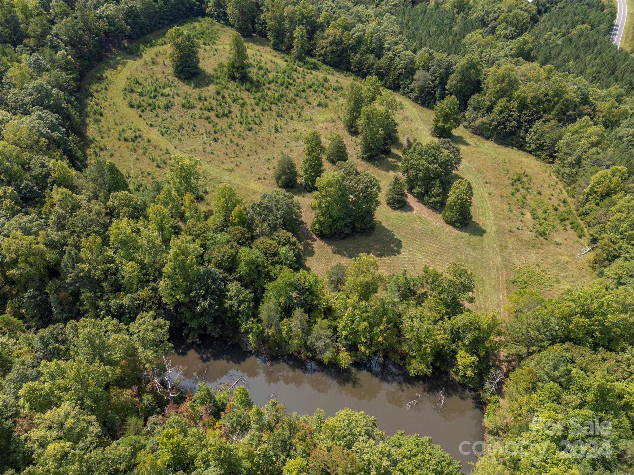 0 Coxe Road Tryon, NC 28782 - Photo 21 of 22