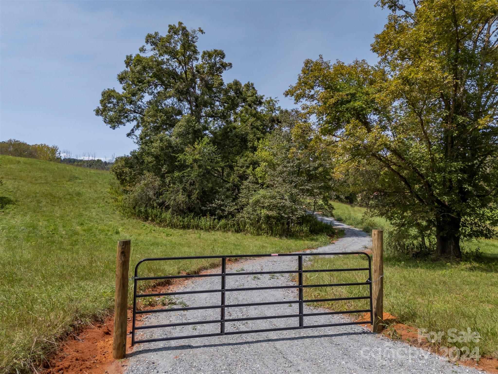 0 Coxe Road Tryon, NC 28782 - Photo 3 of 22