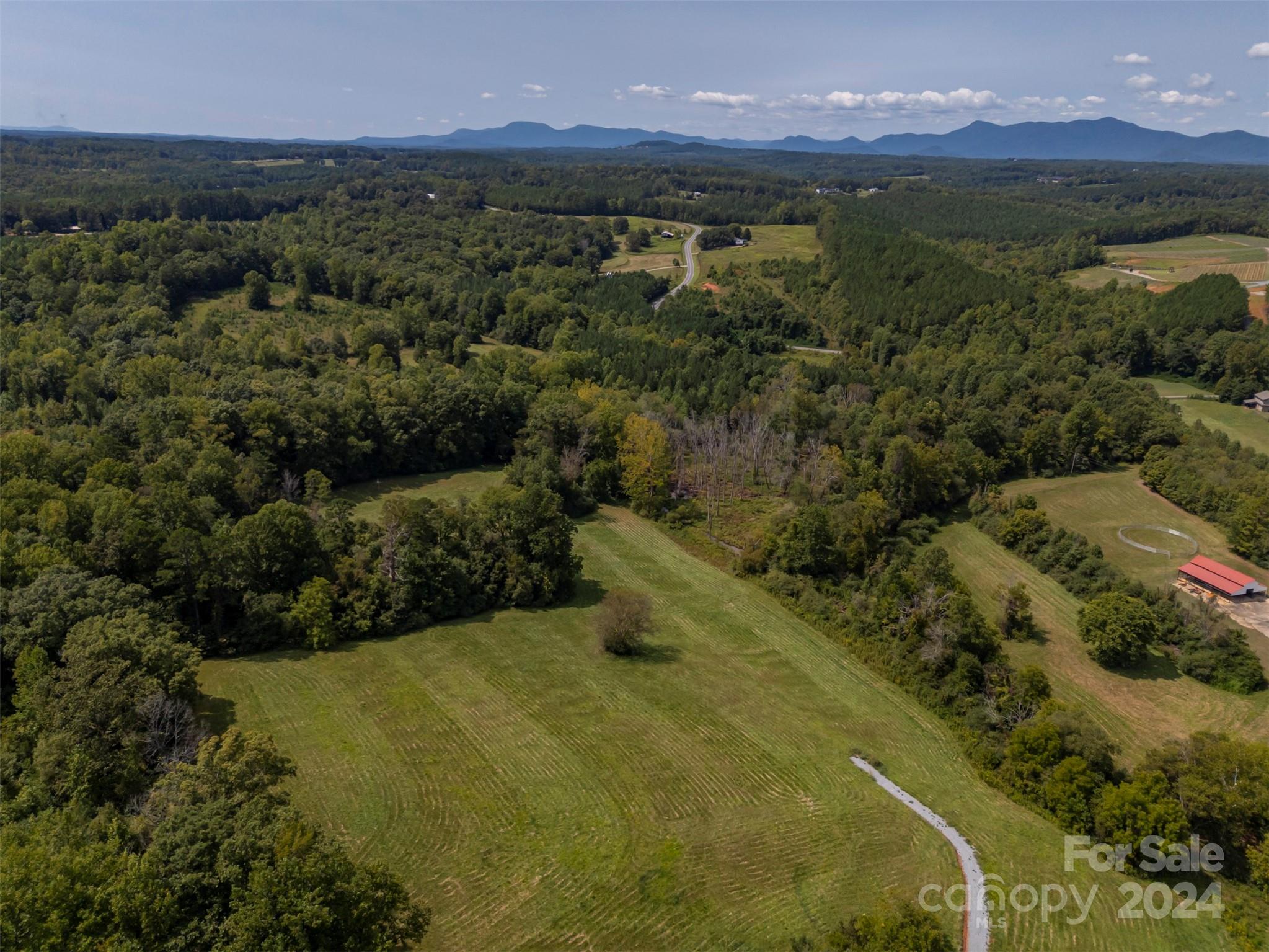 0 Coxe Road Tryon, NC 28782 - Photo 5 of 22