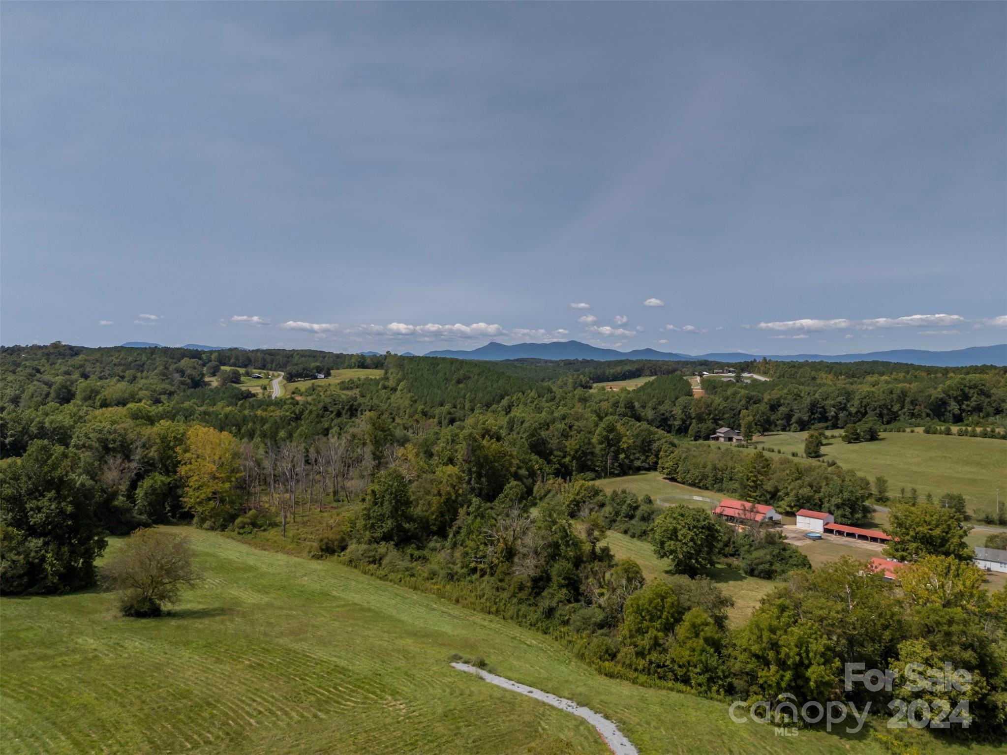 0 Coxe Road Tryon, NC 28782 - Photo 6 of 22