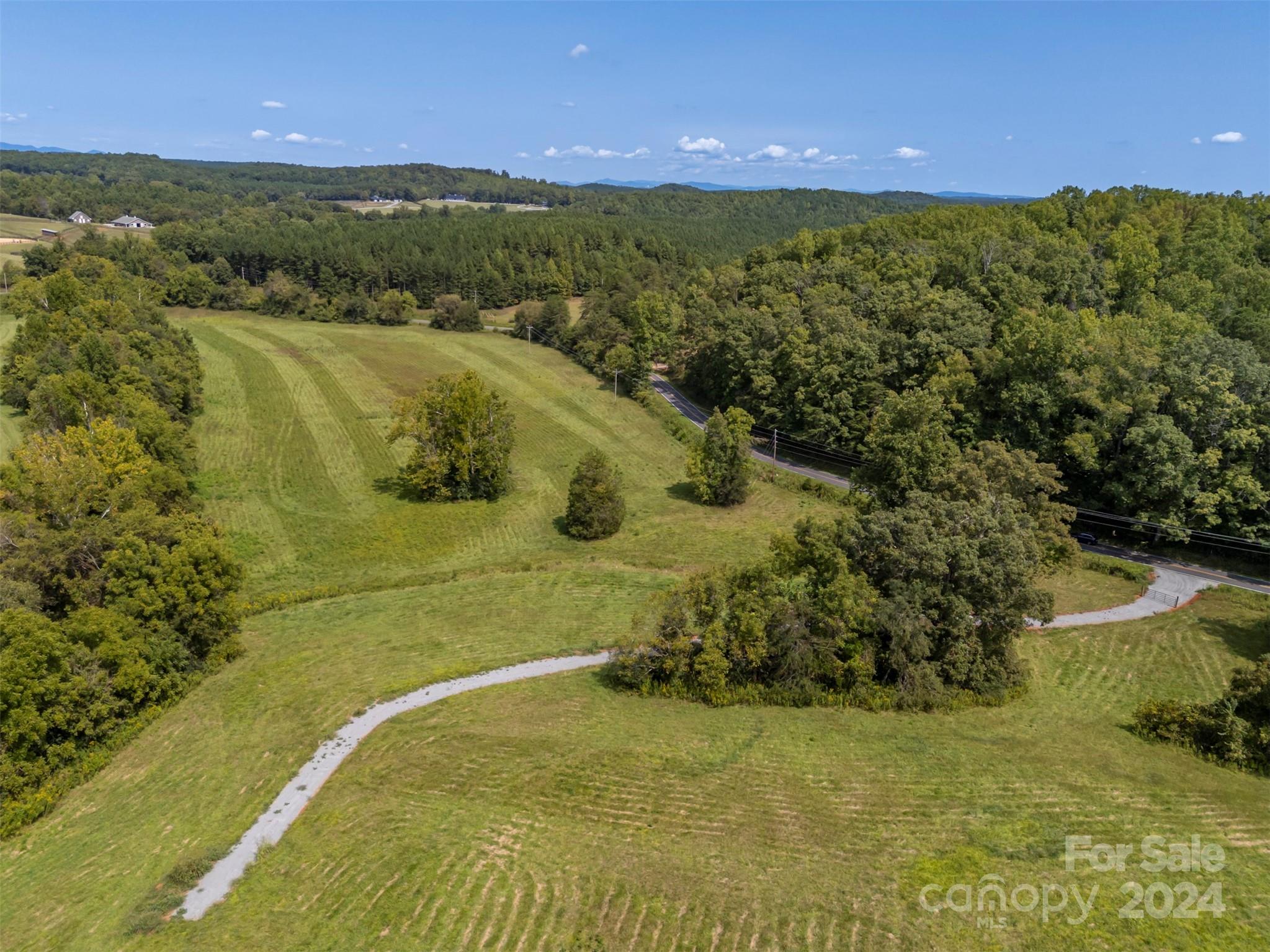 0 Coxe Road Tryon, NC 28782 - Photo 7 of 22