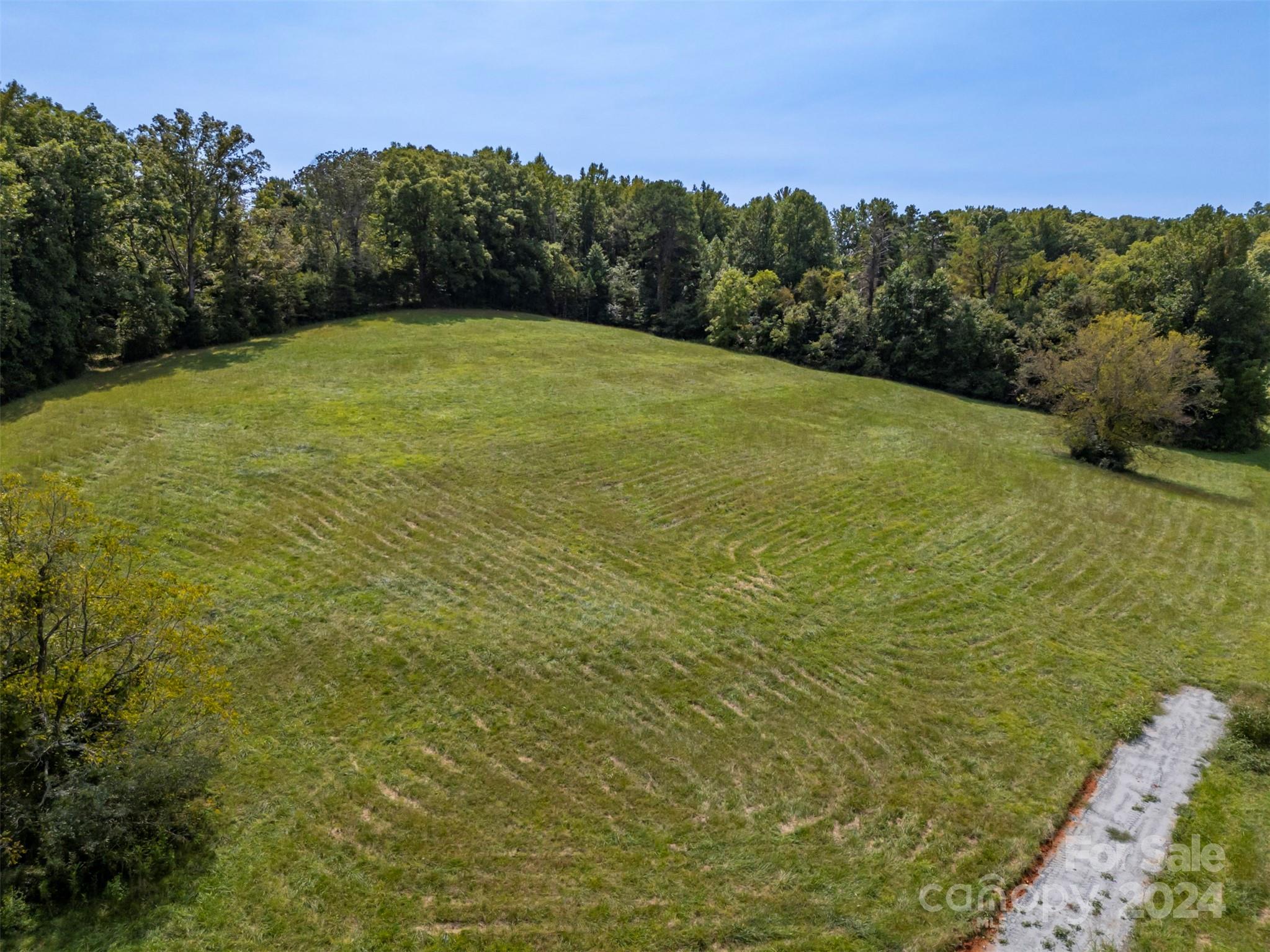 0 Coxe Road Tryon, NC 28782 - Photo 8 of 22