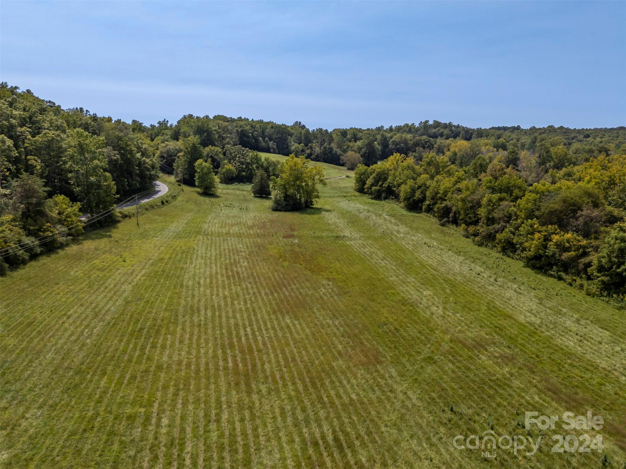 0 Coxe Road Tryon, NC 28782 - Photo 9 of 22