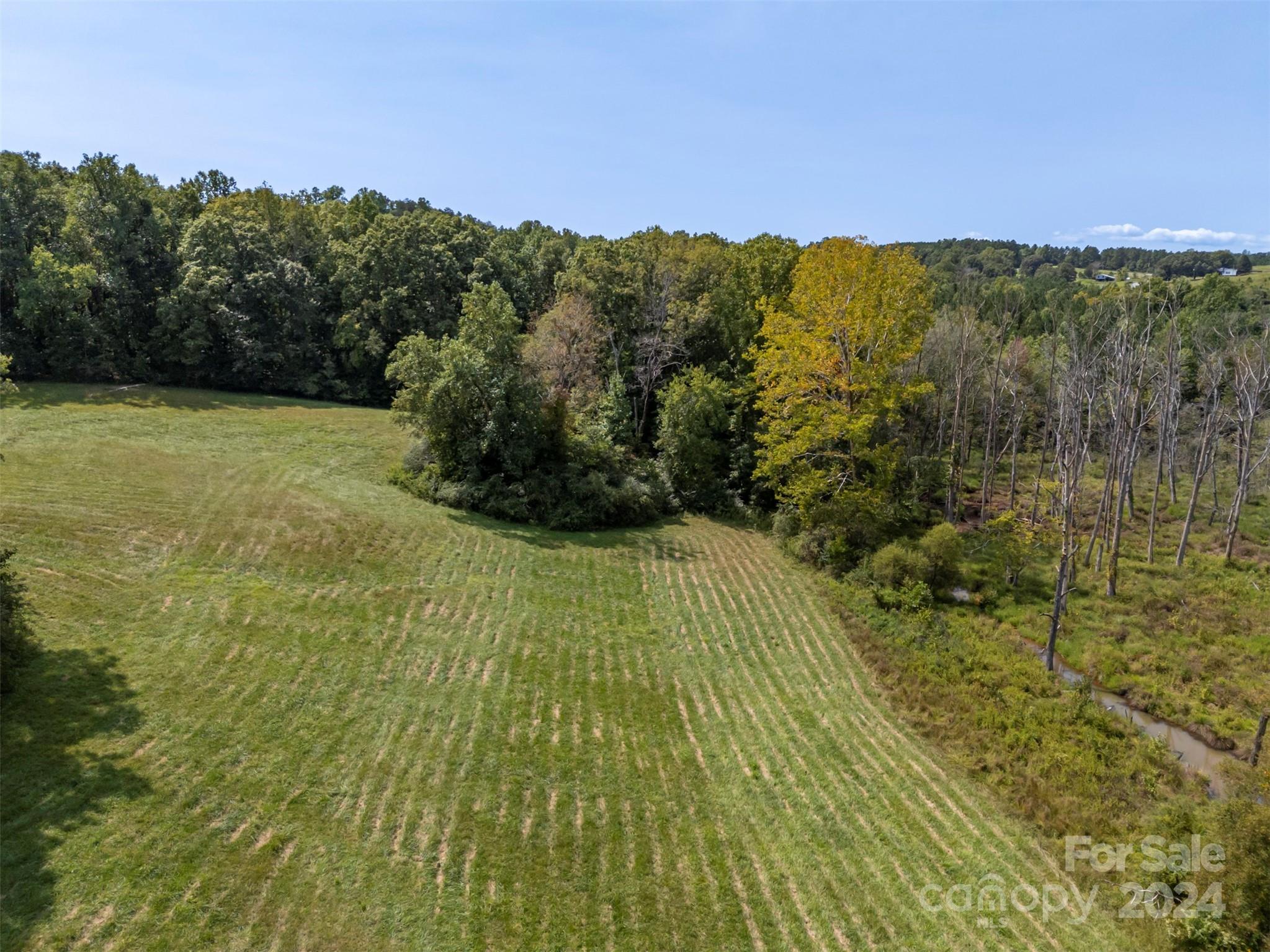 0 Coxe Road Tryon, NC 28782 - Photo 10 of 22