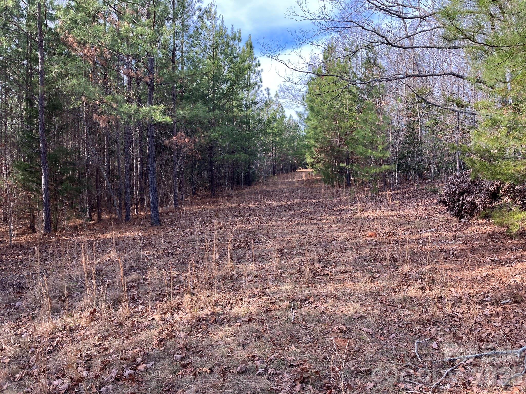 0 Dead End Road Bostic, NC 28018 - Photo 19 of 26 a view of a yard