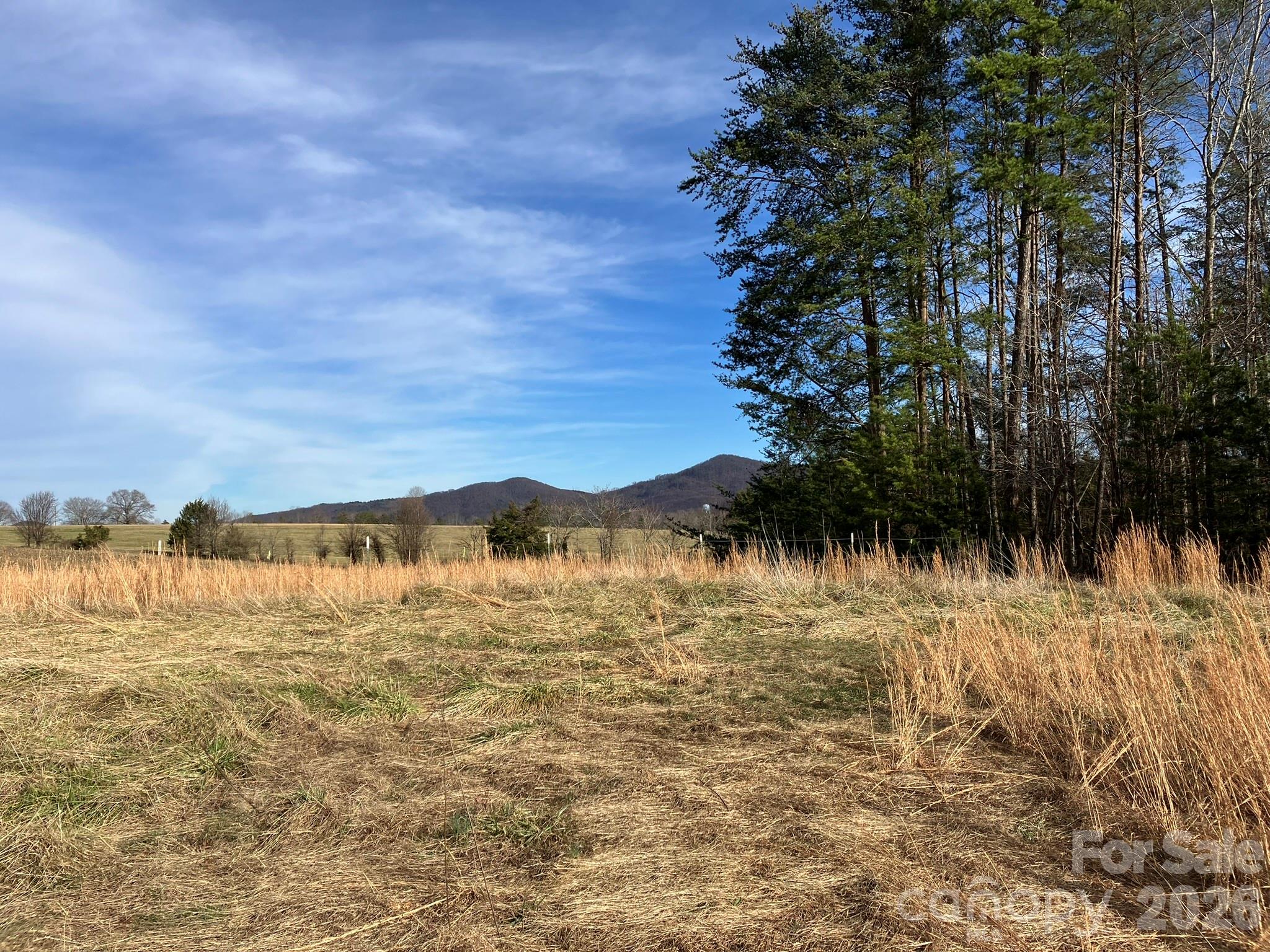0 Dead End Road Bostic, NC 28018 - Photo 23 of 26 a view of lake view and mountain view