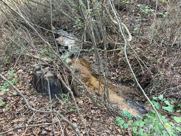 $295,000 | 0 Dead End Road, Bostic, NC 28018