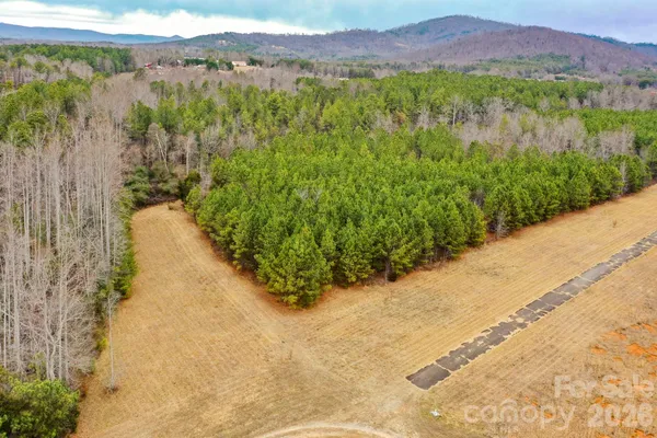 a view of a lake with a mountain