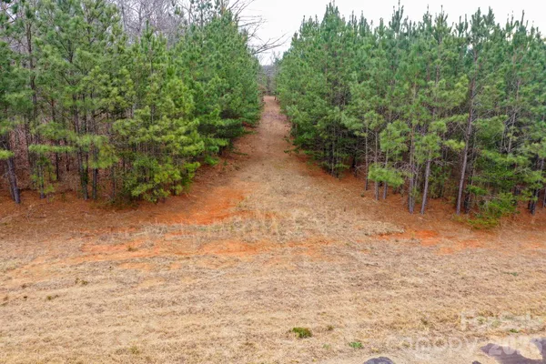 a view of a pathway with a yard